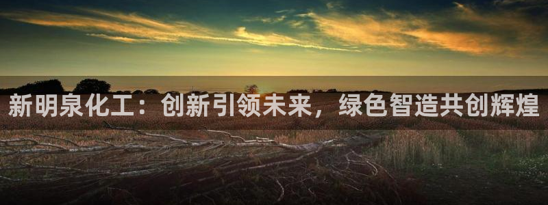 球盟会电子好黑：新明泉化工：创新引领未来，绿色智造共创辉煌