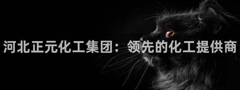球盟会头号玩家是谁：河北正元化工集团：领先的化工提供商