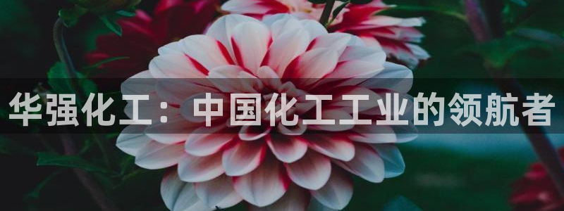 球盟会：华强化工：中国化工工业的领航者