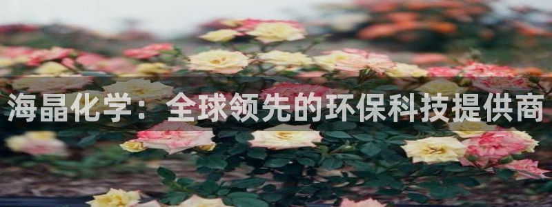 球盟会游戏：海晶化学：全球领先的环保科技提供商
