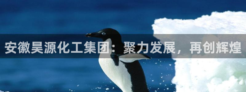 球盟会乐虎：安徽昊源化工集团：聚力发展，再创辉煌