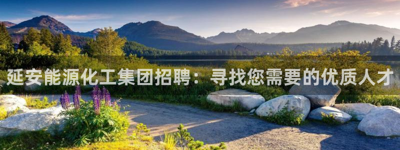 球盟会官方登录平台入口：延安能源化工集团