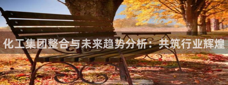 球盟会最新地址备用：化工集团整合与未来趋势分析：共筑行业辉煌