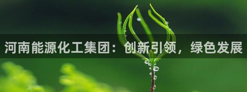 球盟会官方最新入口