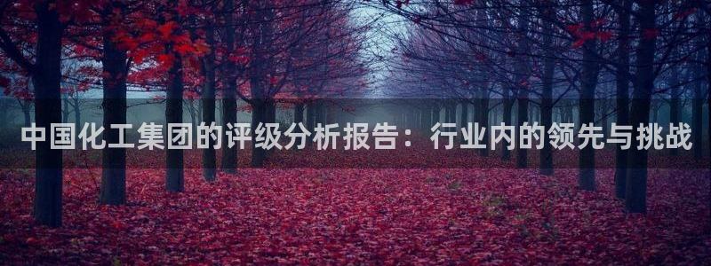 球盟会APP最新地址