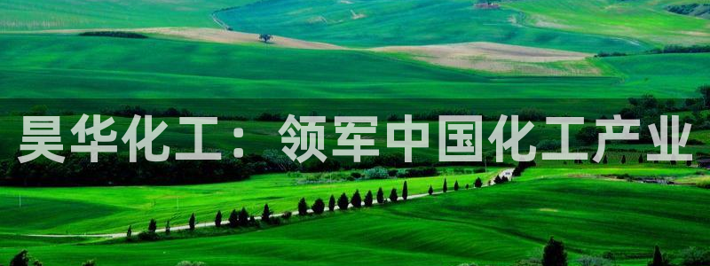 球盟会平台怎么样