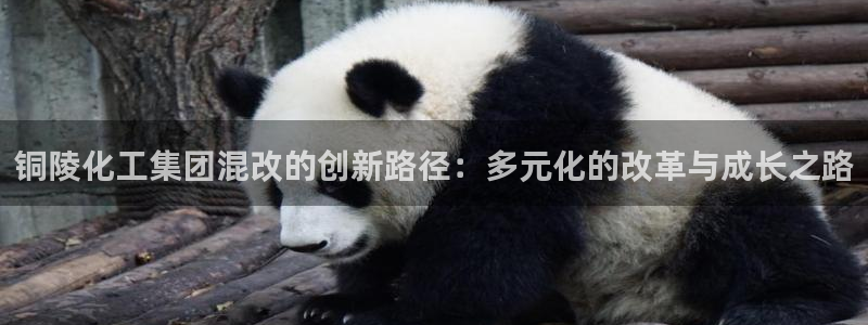 球盟会可以提现么现在