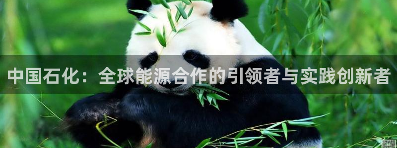 球盟会(中国)官方网站