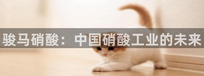 球盟会官方网址入口：骏马硝酸：中国硝酸工