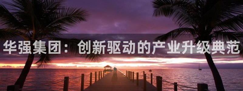球盟会黑台：华强集团：创新驱动的产业升级