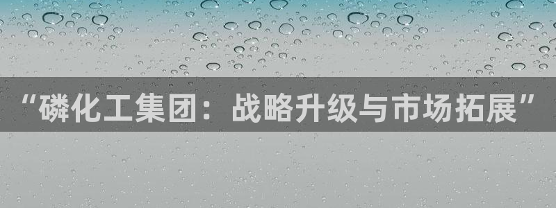 球盟会几点玩合适：“磷化工集团：战略升级与市场拓展”