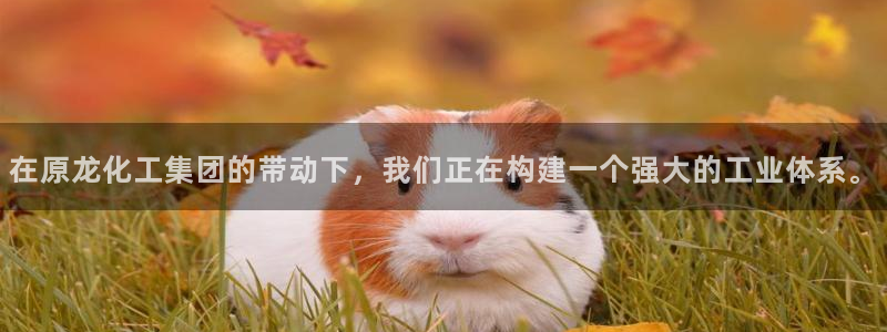 球盟会能提现吗安全吗：在原龙化工集团的带