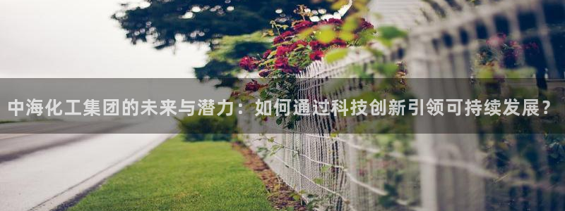球盟会可以提现么：中海化工集团的未来与潜力：如何通过科技创新