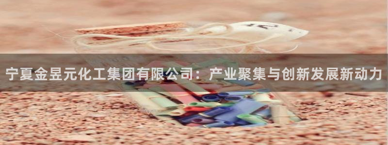 球盟会官方：宁夏金昱元化工集团有限公司：产业聚集与创新发展新