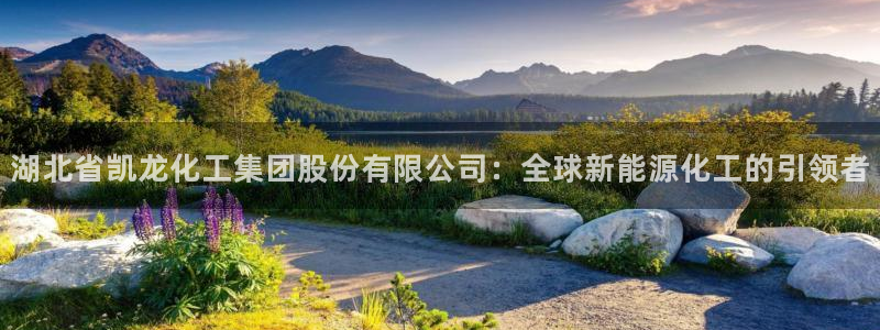 球盟会官方app首页入口：湖北省凯龙化工