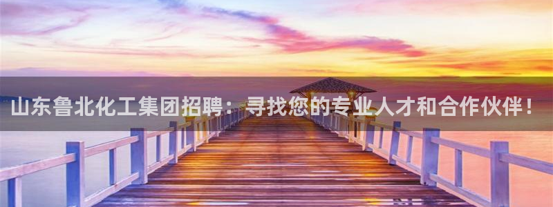 球盟会可以提现么是真的吗：山东鲁北化工集