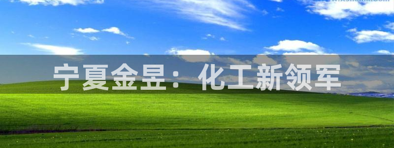 球盟会可以提现么是真的吗：宁夏金昱：化工