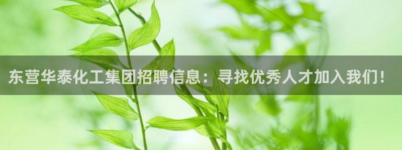 球盟会娱乐平台：东营华泰化工集团招聘信息