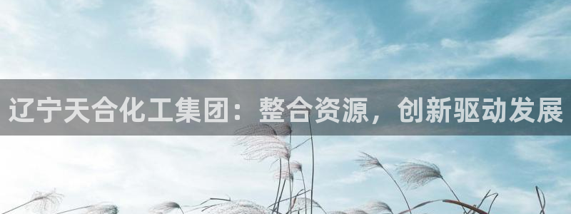 球盟会qmh网址：辽宁天合化工集团：整合