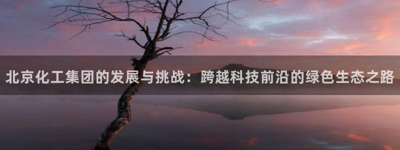 球盟会网址多少：北京化工集团的发展与挑战