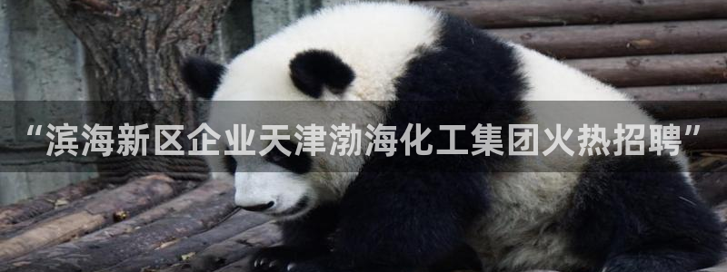 球盟会官方网站：“滨海新区企业天津渤海化