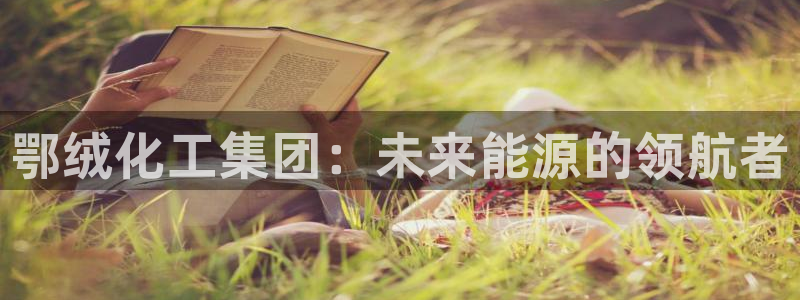 球盟会qmh网址：鄂绒化工集团：未来能源