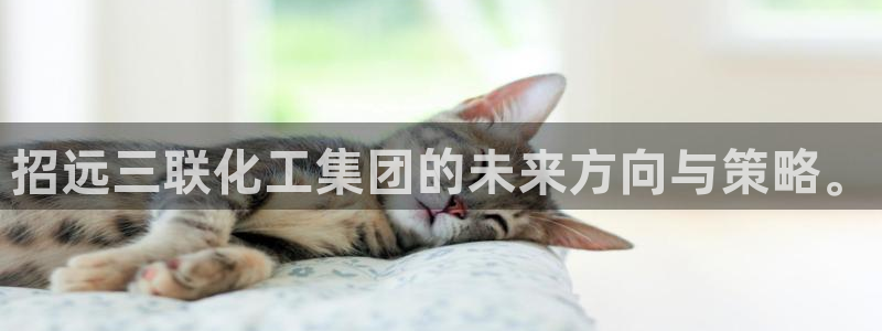 球盟会官方平台入口：招远三联化工集团的未来方向与策略。