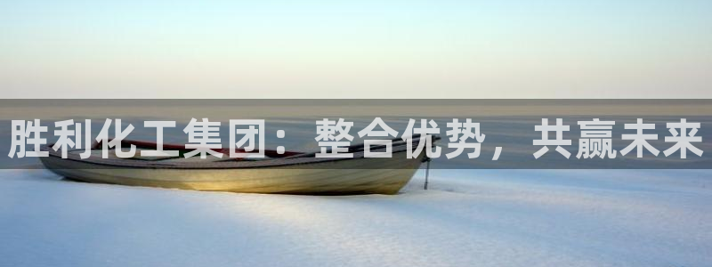 球盟会可以提现么现在：胜利化工集团：整合优势，共赢未来