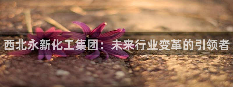 球盟会黑款吗：西北永新化工集团：未来行业