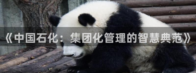 球盟会几点玩合适：《中国石化：集团化管理
