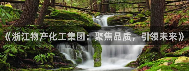 球盟会官方：《浙江物产化工集团：聚焦品质