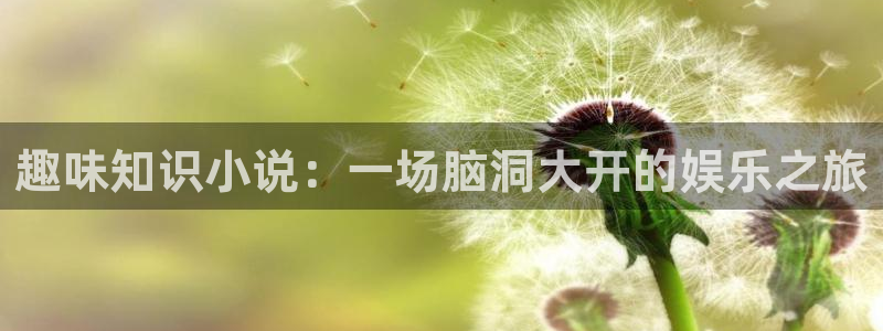 sf轻小说是什么意思：趣味知识小说：一场脑洞大开的娱乐之旅