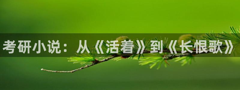 sf轻小说吧：考研小说：从《活着》到《长恨歌》