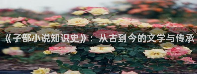 sf轻小说免费版下载：《子部小说知识史》：从古到今的文学与传承