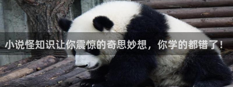 我是高富帅sf轻小说：小说怪知识让你震惊的奇思妙想，你学的都错了！
