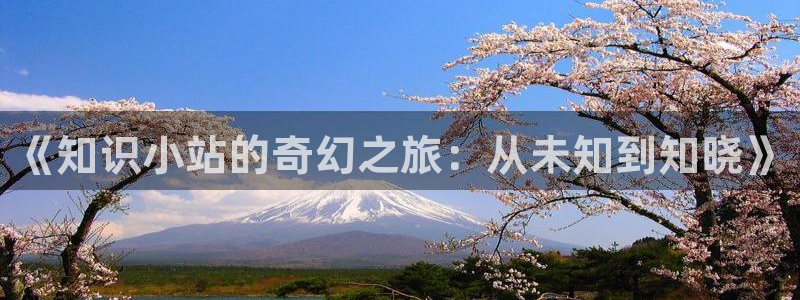 sf轻小说网：《知识小站的奇幻之旅：从未知到知晓》